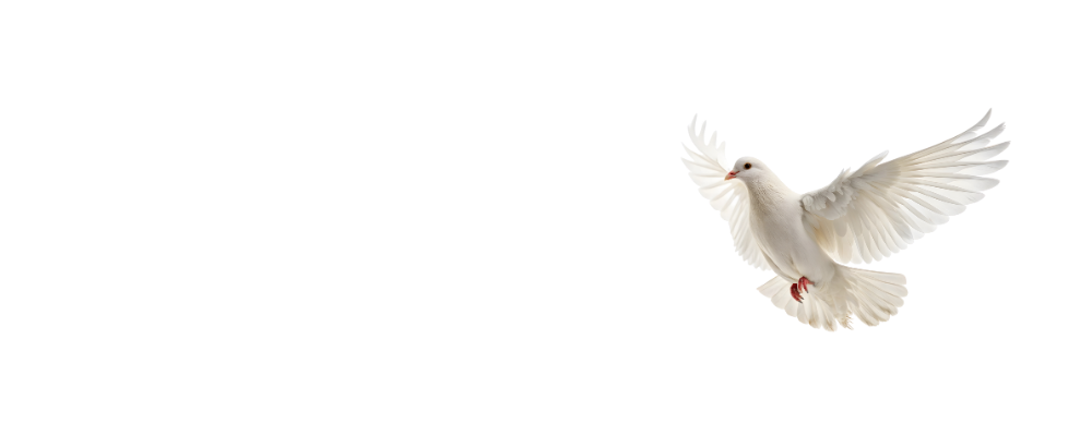 Hygeia Healing logo (grey) - a snake wrapped around a woman's arm and hand pointing up to the sun with planets and flowers in the background